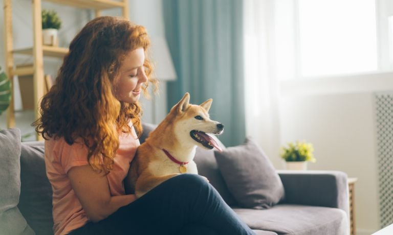 The Best Ways That You Can Keep Your Pet Clean