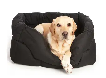 Dog bed 2