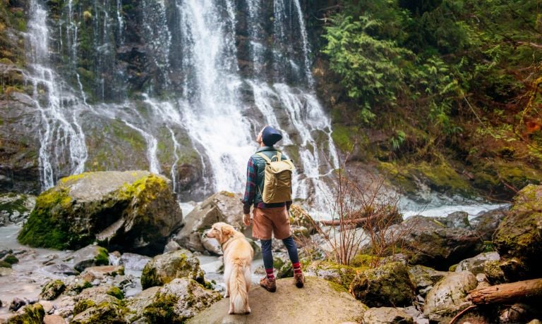 Unleash the Fun: Outdoor Activities To Enjoy With Your Dog