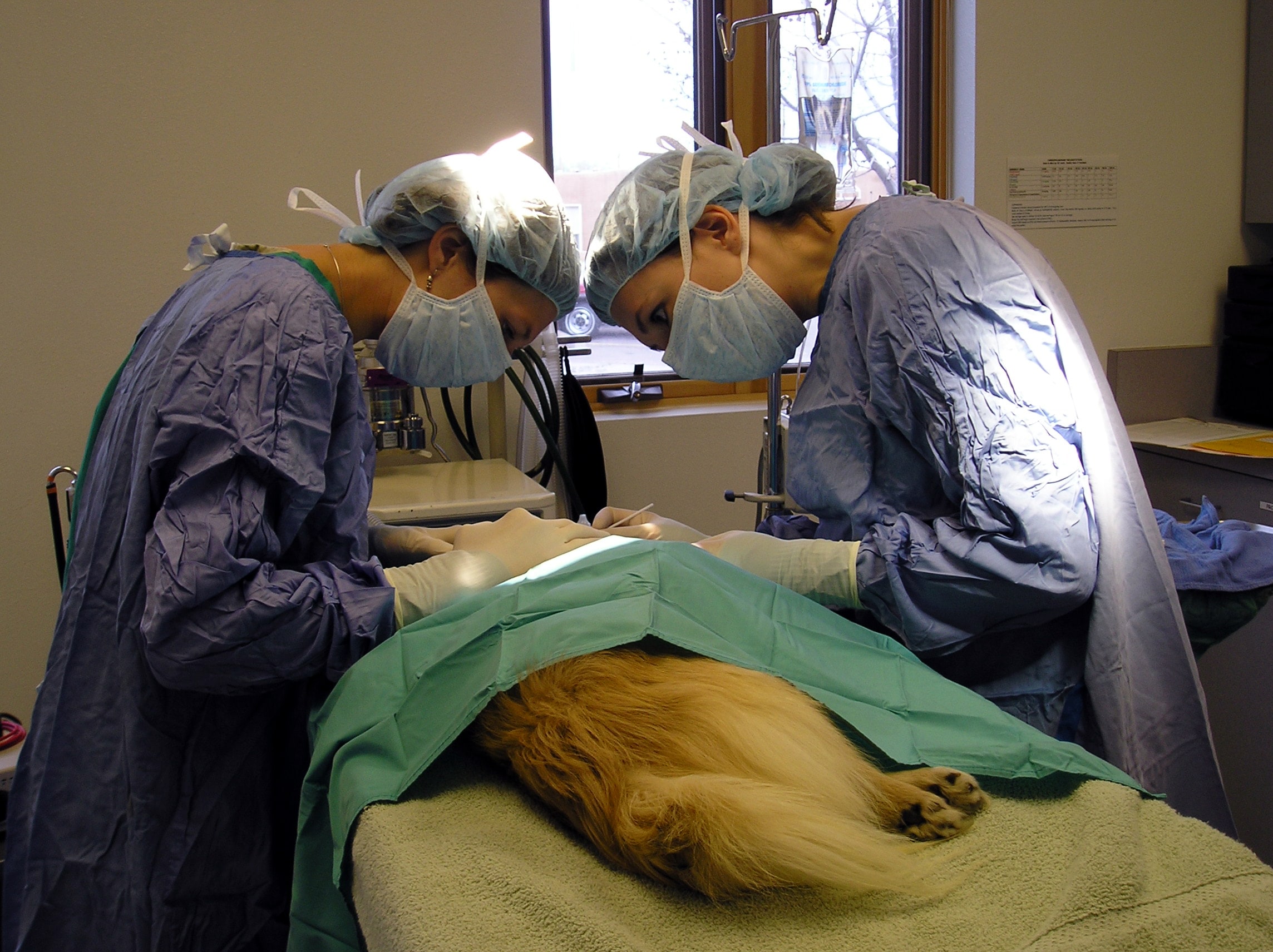 pet surgery dog cramps