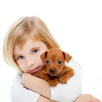 photodune 1382420 blond children girl with dog puppy mini pinscher m min