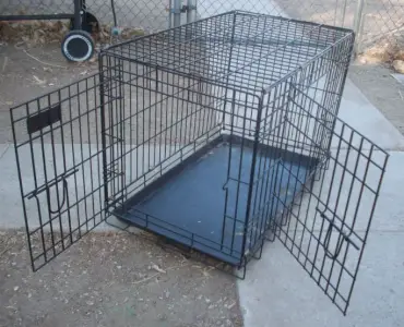 wire crate - dogs that escape