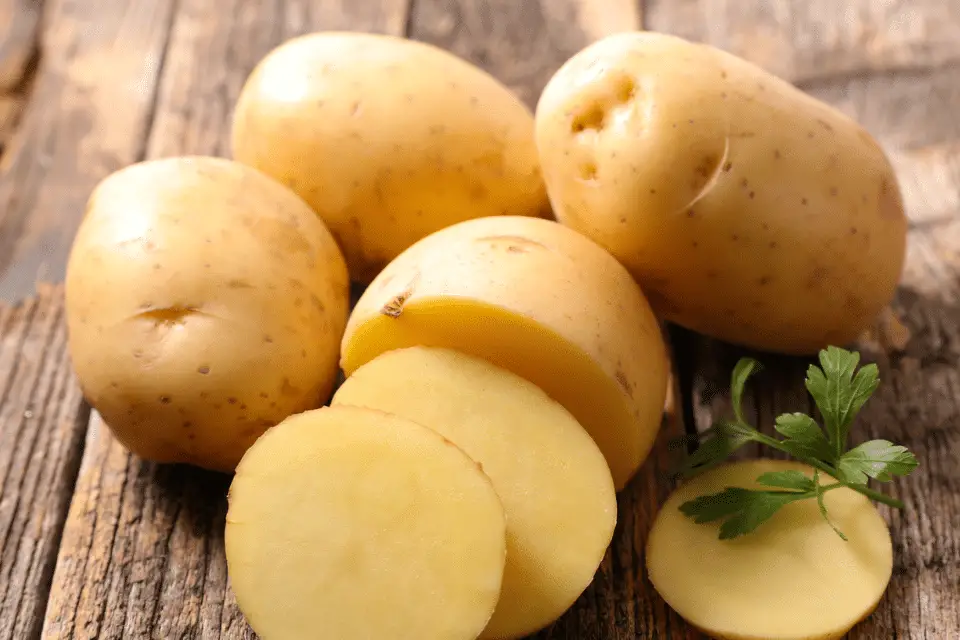 potatoes toxic to dogs