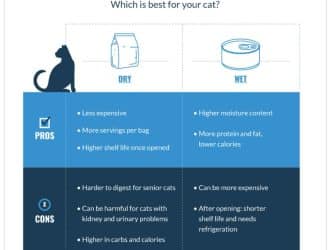 Dry vs Wet food