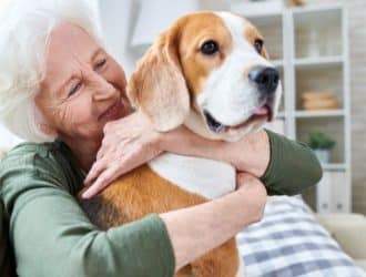 3 Pets That Are Great for Older Adults Who Live Alone