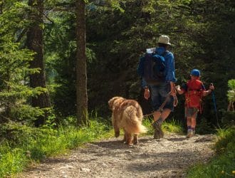 Bonding With Your Pup: Guide for Hiking With Your Dog