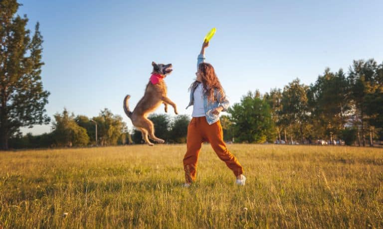 Fun Things To Do With Your Dog Year-Round