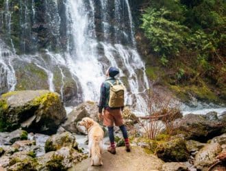 Unleash the Fun: Outdoor Activities To Enjoy With Your Dog