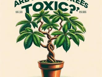 money_tree_toxic_question.jpg