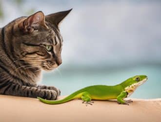 cats and geckos