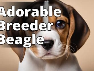 Adorable-Beagle-Puppy.jpg