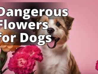 Image_dangerous_flowers_for_dogs.jpg