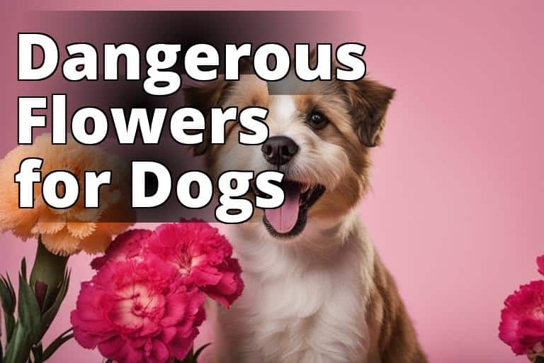 Image_dangerous_flowers_for_dogs.jpg