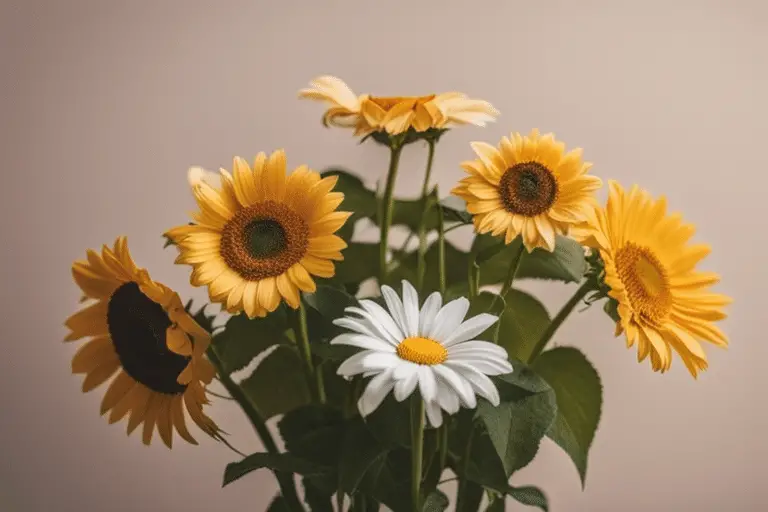 Image of dog-friendly flowers such as roses