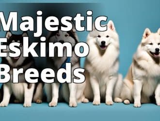 Majestic_Eskimo_Breed.jpg