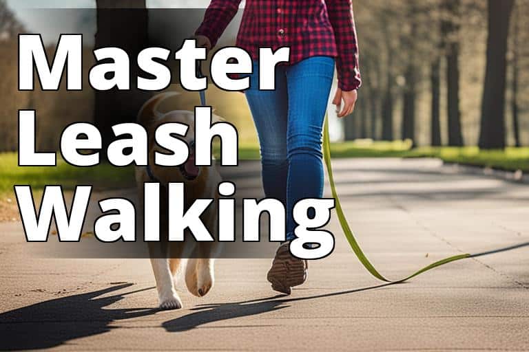 Master_leash_walking.jpg