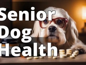 Senior-Dog-Health.jpg