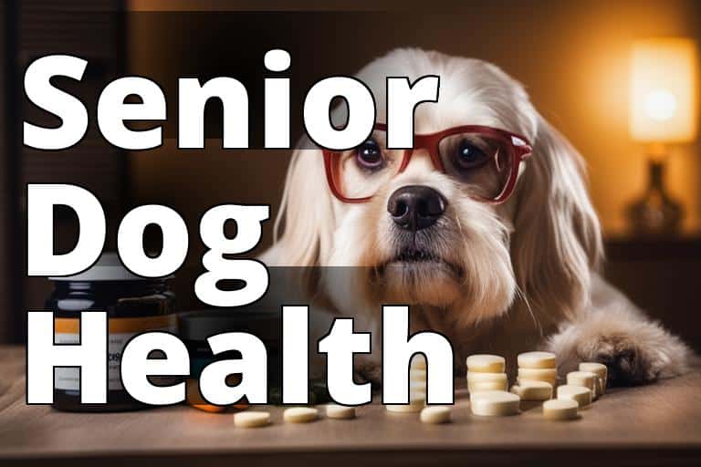 Senior-Dog-Health.jpg