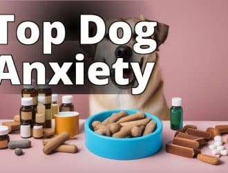 top-dog-anxiety-cover-image.jpg