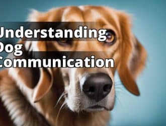 Understanding_canine_communication.jpg