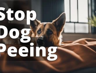 stop_dog_peeing_in_bed.jpg