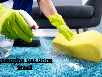 cleaning_carpet_article_cover.png