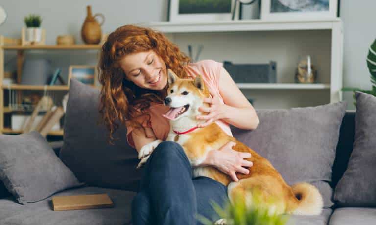 A red-haired woman sitting on a living room couch as she cuddles with a happy shiba inu that’s half sitting in her lap.