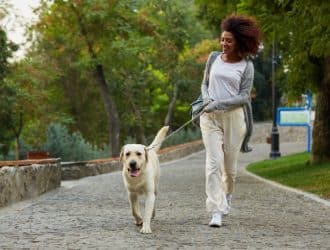 A woman is walking a light-colored dog on a cobblestone path. There are several mature trees surrounding the path.