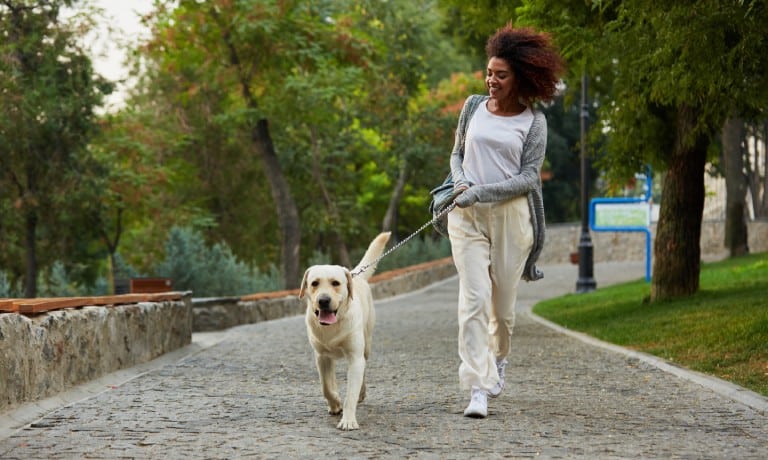 A woman is walking a light-colored dog on a cobblestone path. There are several mature trees surrounding the path.