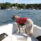 A dog stands on a white boat wearing an orange life vest. He's looking out at the open water with trees in the background.