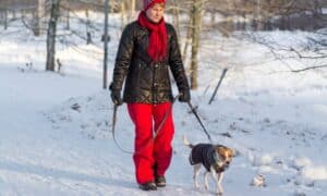 4 Ways To Keep Your Dog Active in Winter