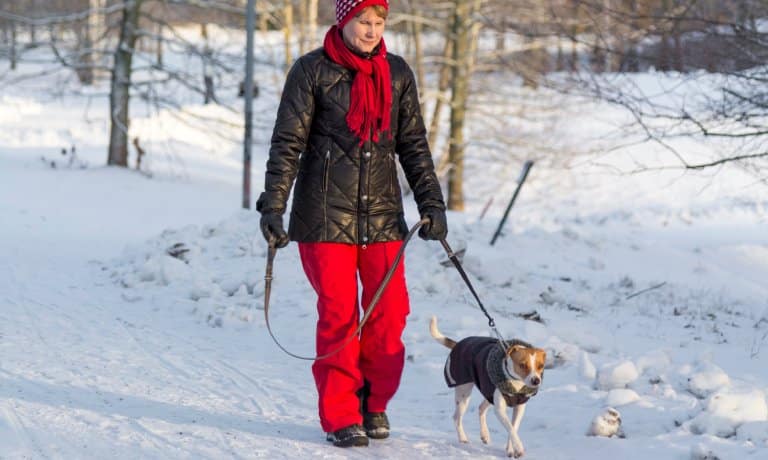 A woman wearing a winter coat, gloves, and a scarf is walking her dog through the snow. The dog is wearing a coat.