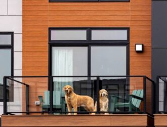 Two brown dogs on an enclosed apartment balcony. One dog sits, and the other stands, but both look toward the camera.