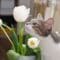 A gray and white cat is sniffing white tulips that sit in a white vase. The background is blurry.