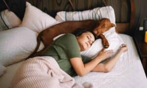 How To Stop Your Bedroom From Smelling Like Your Pets