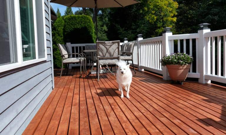 A white fluffy-haired dog with a black nose stands outdoors on a beautiful wood deck with white railing and patio furniture.